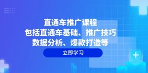 (14001期)直通车推广课程:包括直通车基础、推广技巧、数据分析、爆款打造等-七量思维