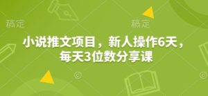 小说推文项目,新人操作6天,每天3位数分享课-七量思维