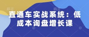 直通车实战系统:低成本询盘增长课,让个人通过技能实现升职加薪,让企业低成本获客,订单源源不断-七量思维