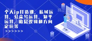 个人ip打造课，私域运营，公众号运营，知乎运营，底层逻辑和方向定位等-七量思维