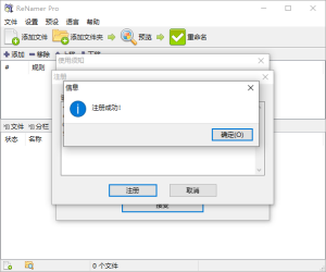 批量重命名ReNamer Pro v7.7-七量思维