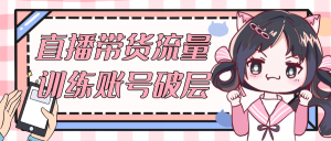 直播带货流量训练账号破层-七量思维