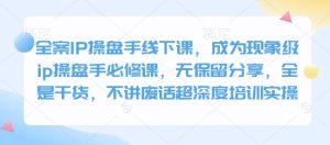 全案IP操盘手线下课,成为现象级ip操盘手必修课,无保留分享,全是干货,不讲废话超深度培训实操-七量思维
