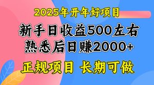 （14076期）2025开年好项目，单号日收益2000左右-七量思维
