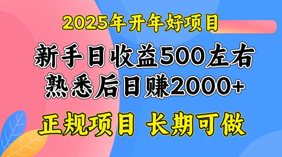 （14076期）2025开年好项目，单号日收益2000左右-七量思维