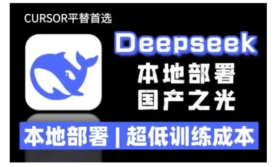 2025年deepseek R1 大型模型本地安装部署(文件+教程)本地部署，超低训练成本-七量思维