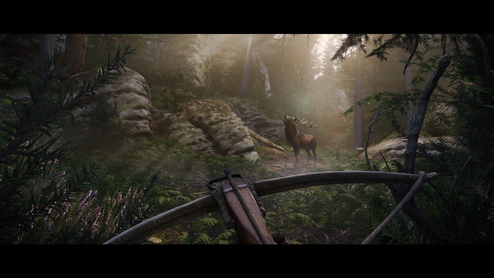 图片[2]-《天国：拯救2》v1.1.1中文版-七量思维