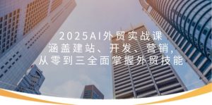 (14135期)2025AI外贸实战课:涵盖建站、开发、营销, 从零到三全面掌握外贸技能-七量思维