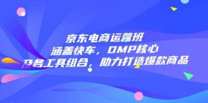 京东电商运营班:涵盖快车,DMP核心及各工具组合,助力打造爆款商品-七量思维