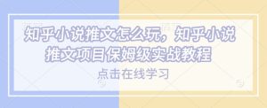 知乎小说推文怎么玩，知乎小说推文项目保姆级实战教程-七量思维