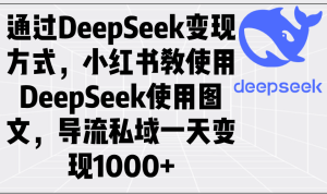 (14179期)通过DeepSeek变现方式,小红书教使用DeepSeek图文,导流私域一天变现1000+-七量思维