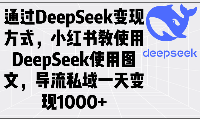 （14179期）通过DeepSeek变现方式，小红书教使用DeepSeek图文，导流私域一天变现1000+-七量思维