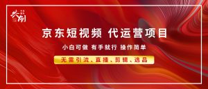 京东带货代运营,小白有手就行,利润55分,月入8000+-七量思维