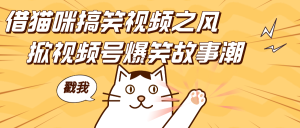 借猫咪搞笑视频之风，掀视频号爆笑故事潮，轻松日赚四位数，开启无门槛赚钱新体验！-七量思维