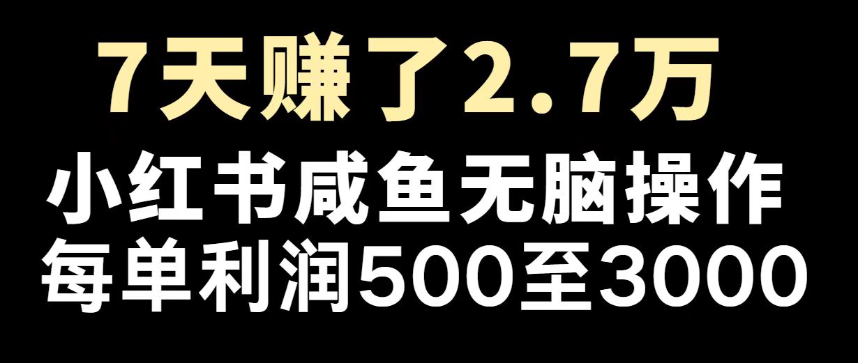 最赚钱项目之一，2025爆火，逆风翻盘！-七量思维