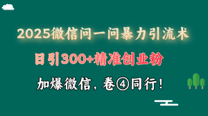 2025 微信问一问最新玩法,暴力引流 300+创业粉,条条爆款,单日变现四位数-七量思维