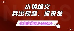 抖推猫最新玩法,小白也能月入5000+,小说推文无需剪辑,直接代发,2分钟直接搞定-七量思维