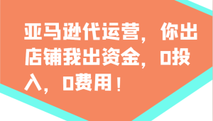亚马逊代运营，你出店铺我出资金，0投入，0费用，无责任每天300分红，赢亏我承担-七量思维