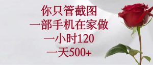 你只管截图，一部手机在家做，一小时120，一天500+-七量思维