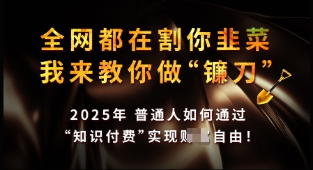 知识付费如何做到月入过W+，2025我来教你做“镰刀”【揭秘】-七量思维