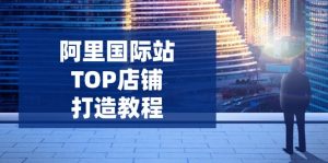 阿里国际站TOP店铺打造教程：涵盖平台到高阶，解决运营难题，提升询盘-七量思维