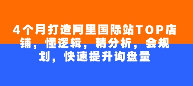 4个月打造阿里国际站TOP店铺，懂逻辑，精分析，会规划，快速提升询盘量-七量思维