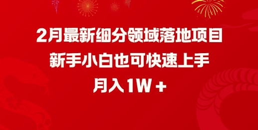 2月最新细分领域落地项目，新手小白也可快速上手，月入1W-七量思维