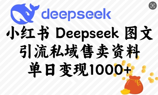 小红书Deepseek图文引流私域售卖资料，单日变现多张-七量思维