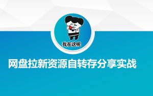 网盘拉新资源自动转存分享实战-七量思维