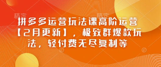 拼多多运营玩法课高阶运营【2月更新】，极致群爆款玩法，轻付费无尽复制等-七量思维