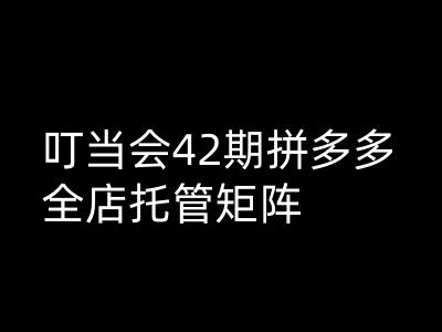 叮当会拼多多打爆班原创高阶技术第42期，拼多多全店托管矩阵-七量思维