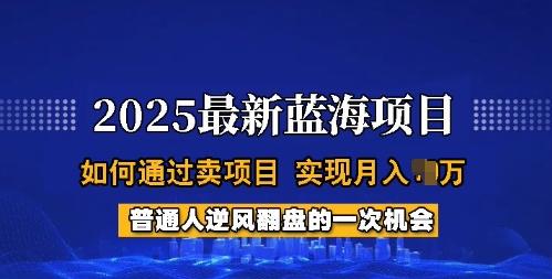 2025蓝海项目，普通人如何通过卖项目，实现月入过W，全过程【揭秘】-七量思维