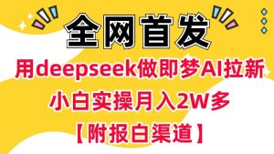 用deepseek做即梦Ai拉新 小白实操月入过W+【附报白渠道】-七量思维
