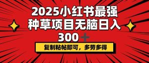 2025小红书最强种草项目，无脑日入300+，复制粘帖即可，多劳多得-七量思维
