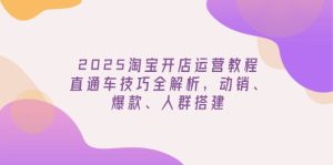 2025淘宝开店运营教程更新,直通车技巧全解析,动销、爆款、人群搭建-七量思维