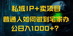 私域IP+卖项目,普通人如何做到宅家办公实现日入1000+-七量思维