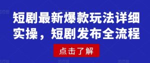 短剧最新爆款玩法详细实操，短剧发布全流程-七量思维