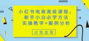 小红书电商高级课程,新手小白必学方法,实操教学+案例分析-七量思维