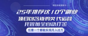 25年推荐这10个副业项目包含褂鸡类、代运营托管类、全自动打金类【揭秘】-七量思维