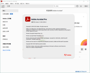 Acrobat Pro DC 2025.001.20428绿色版-七量思维