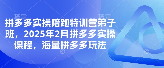 拼多多实操陪跑特训营弟子班，2025年2月拼多多实操课程，海量拼多多玩法-七量思维