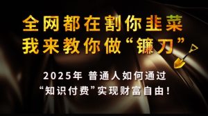 全网都在割你韭菜,我来教你做镰刀,2025普通人如何通过知识付费,实现财F自由【揭秘】-七量思维