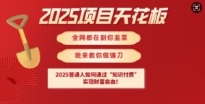 2025项目天花板普通人如何通过知识付费,实现财F自由【揭秘】-七量思维