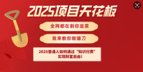 2025项目天花板普通人如何通过知识付费，实现财F自由【揭秘】-七量思维