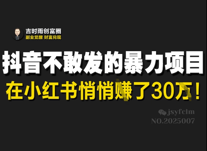 抖音不敢发的暴利项目，在小红书悄悄挣了30W-七量思维