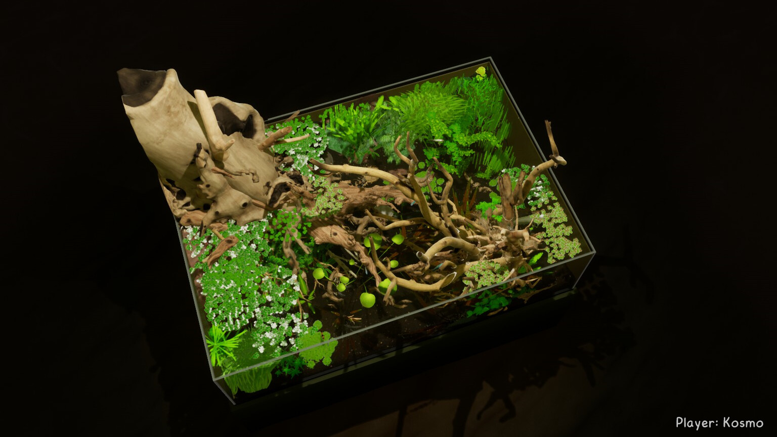 图片[3]-《养鱼模拟器》v00.03.24中文版-七量思维