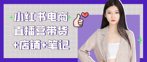 小红书电商直播营带货+店铺+笔记-七量思维