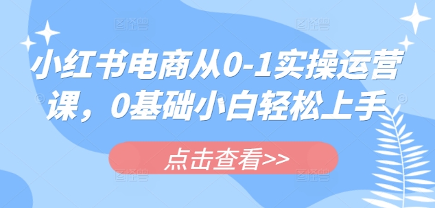 小红书电商从0-1实操运营课，0基础小白轻松上手-七量思维