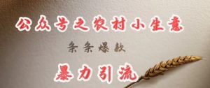 deepseek写农村小项目,条条爆款,暴力引流-七量思维