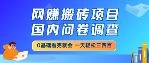 网赚搬砖项目，国内问卷调查，0基础看完就会 一天轻松三四百，靠谱副业…-七量思维